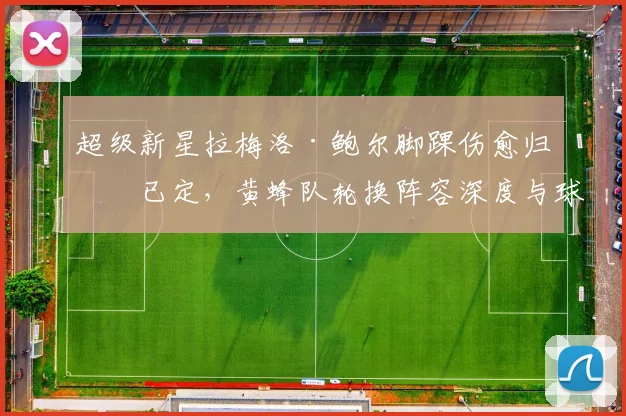 超级新星拉梅洛·鲍尔脚踝伤愈归期已定，黄蜂队轮换阵容深度与球权分配成焦点悬念